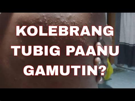 kulebrang pagong